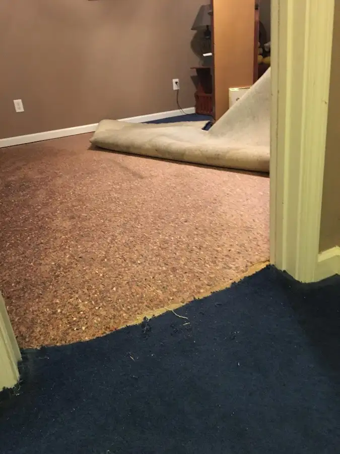 Carpet pad removal revealing water damage during Water Mitigation Services in Sangaree